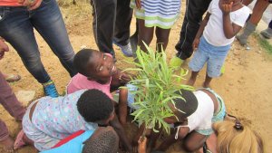 214119487_781453245868787_1123785137968763340_n